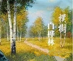 白桦林曲谱 C调 吉他谱