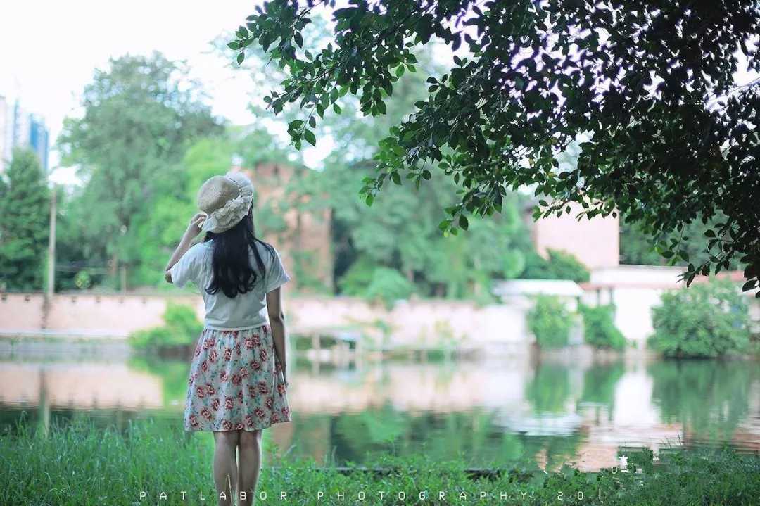 那年夏天曲谱D调吉他谱第(5)页