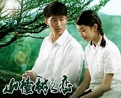山楂花曲谱 B调 吉他谱