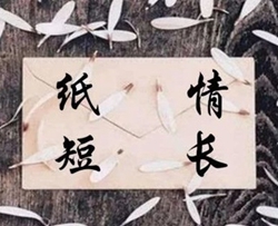 纸短情长曲谱 G调 吉他谱
