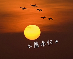 雁南归曲谱 D调 吉他谱