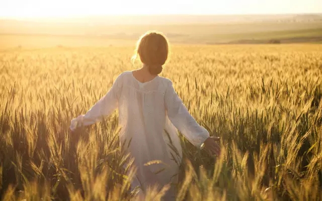 关于郑州的记忆李志曲谱C调吉他谱第(8)页