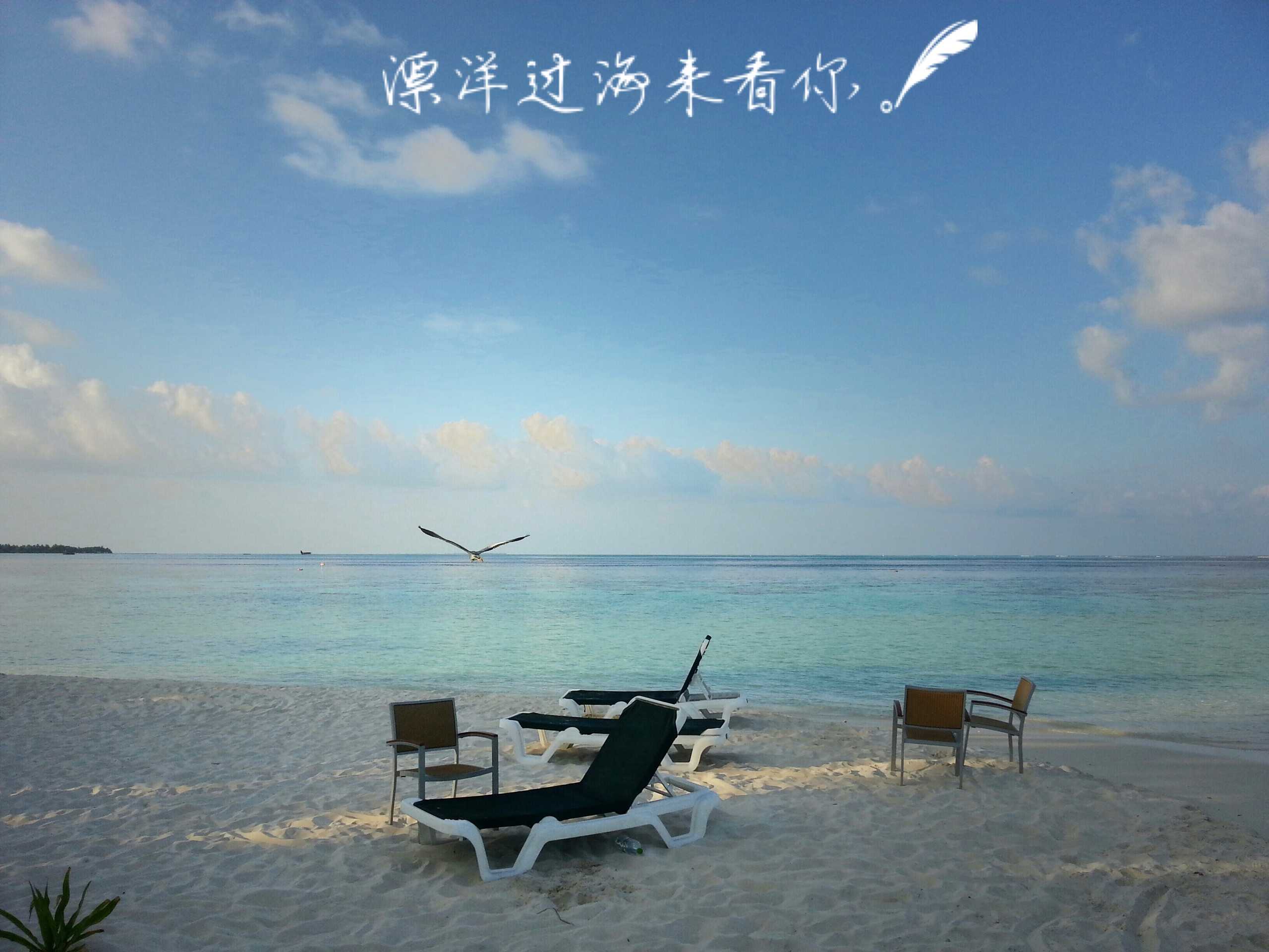 漂洋过海来看你曲谱D调吉他谱第(3)页