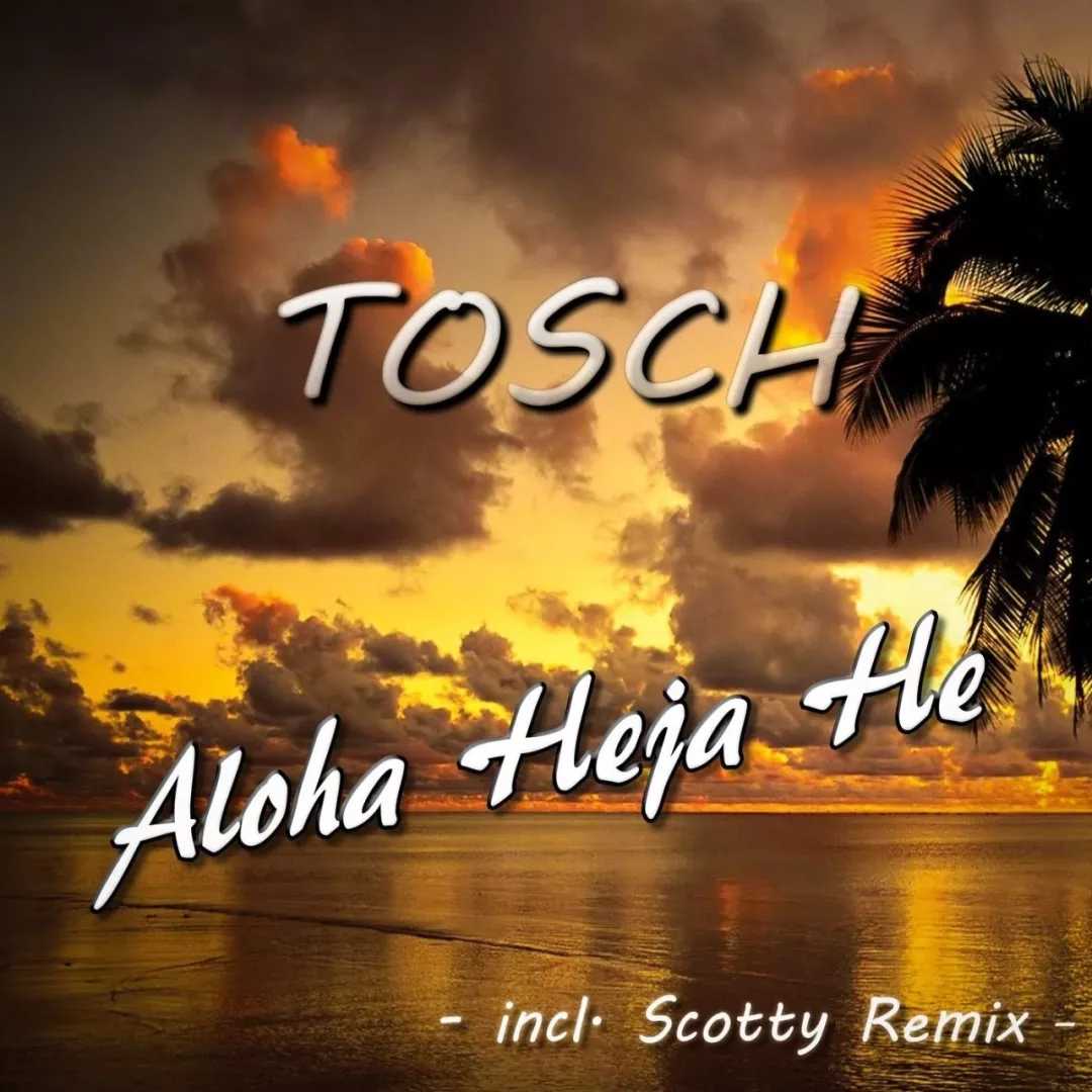 alohahejahe曲谱D调吉他谱第(8)页