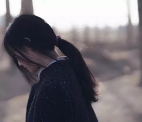 关于郑州的记忆李志曲谱 C调 吉他谱