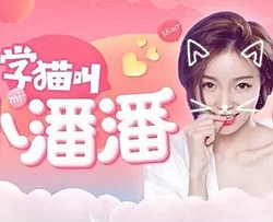 学猫叫曲谱 G调 吉他谱