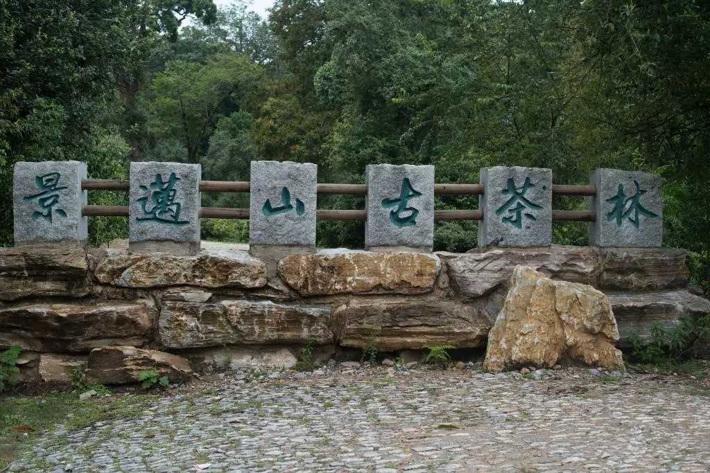 云海上的古茶林曲谱G调吉他谱第(4)页