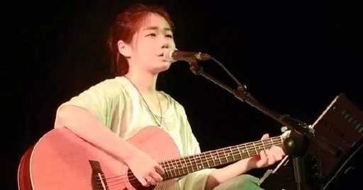 一腔诗意喂了狗曲谱C调吉他谱第(4)页