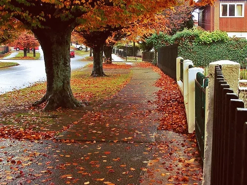 寻找曲谱B调吉他谱第(6)页