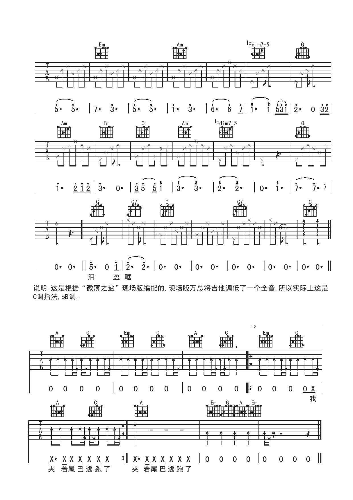 达摩流浪者曲谱D调吉他谱第(2)页