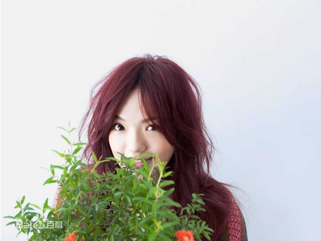 失落沙洲曲谱G调吉他谱第(3)页