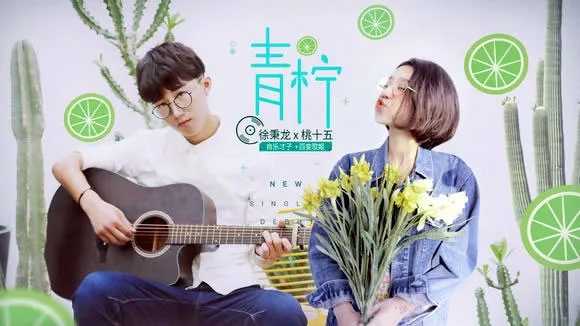 青柠曲谱D调吉他谱第(5)页