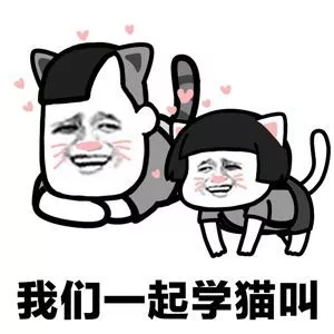 学猫叫曲谱G调吉他谱第(6)页
