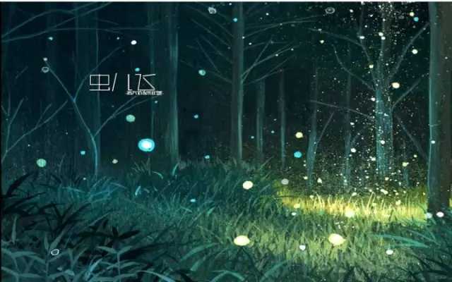 虫儿飞曲谱D调吉他谱第(3)页