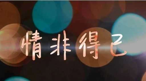 情非得已曲谱B调吉他谱第(5)页