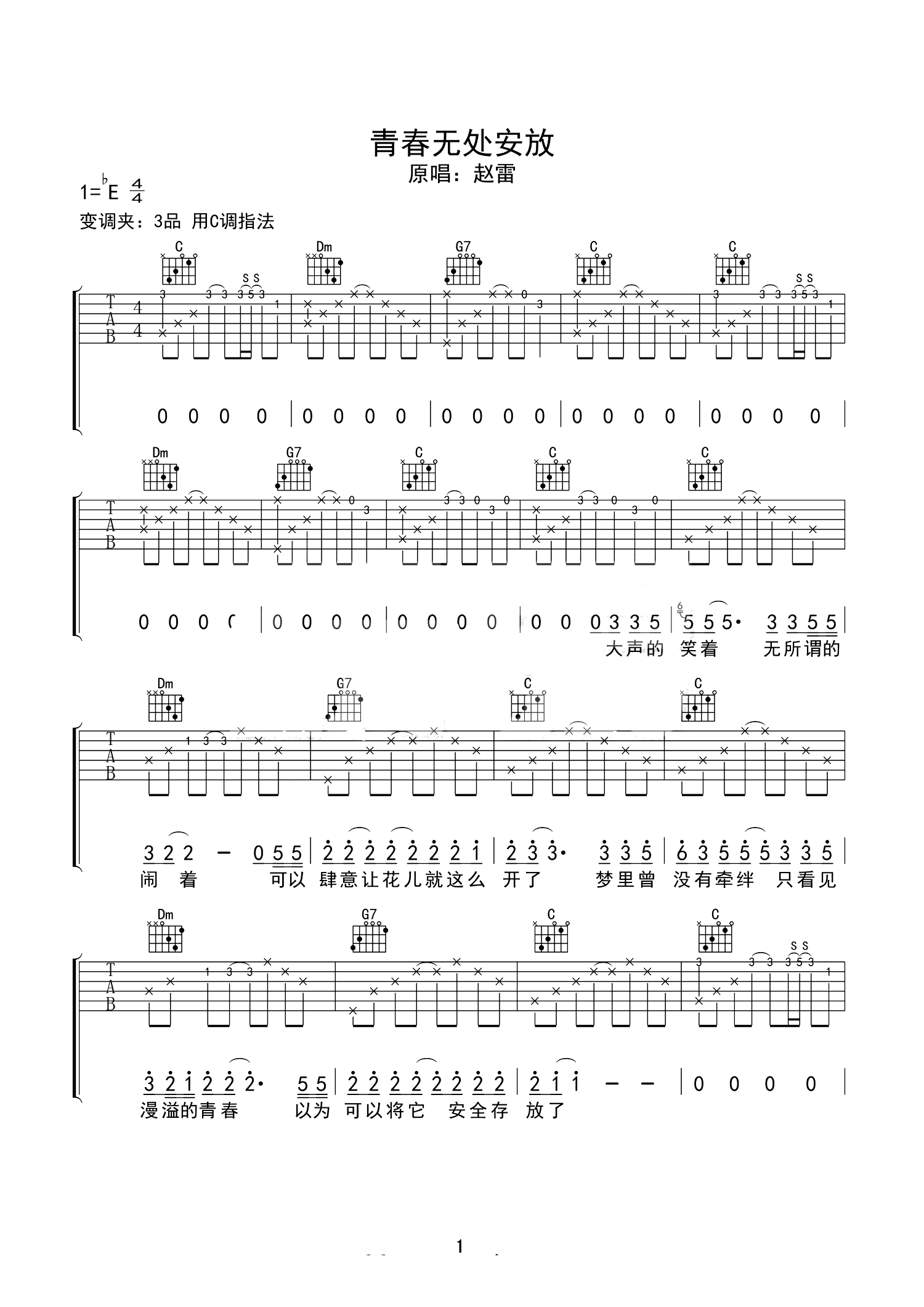 青春无处安放曲谱D调吉他谱第(1)页