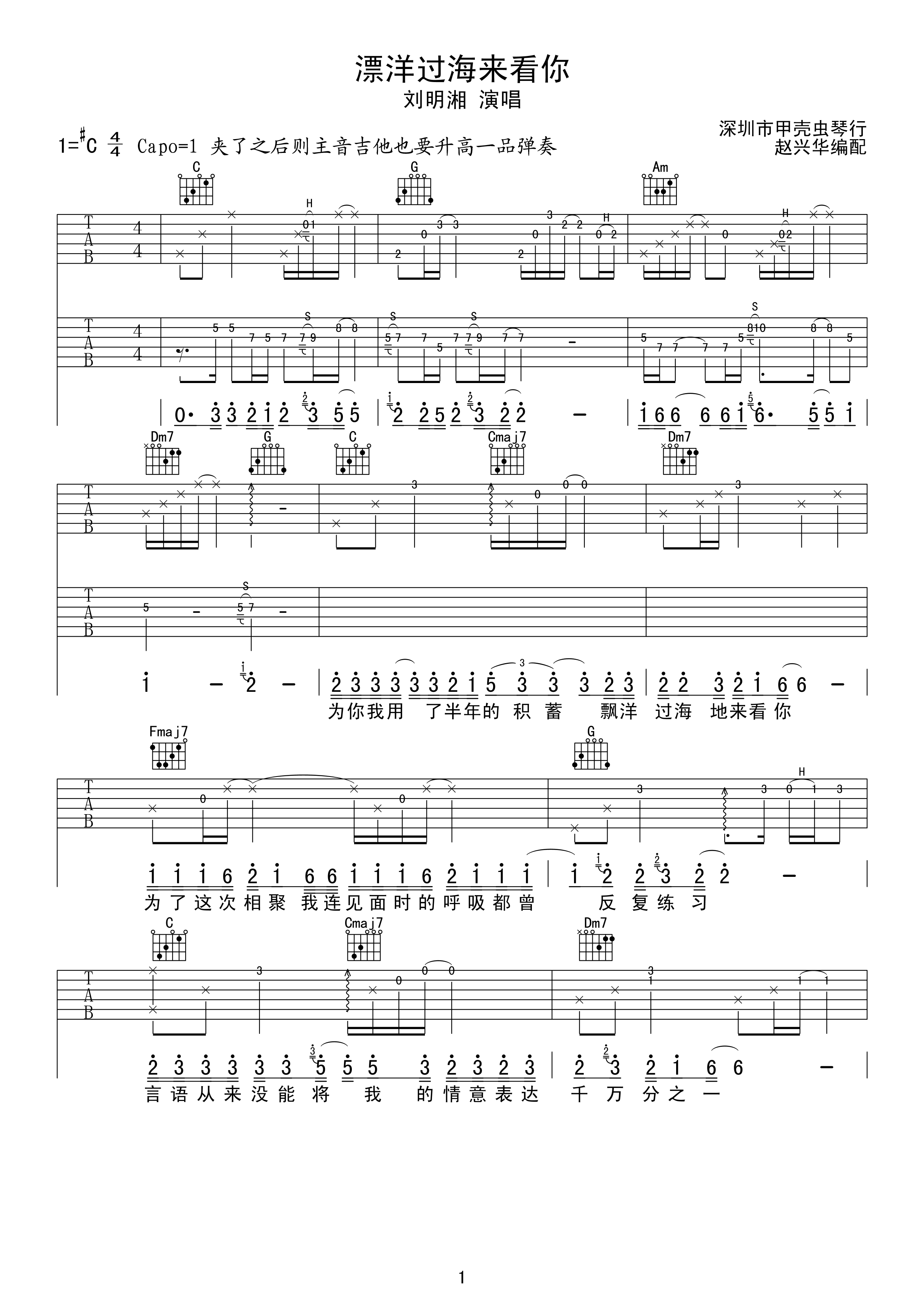 漂洋过海来看你吉他谱第(1)页