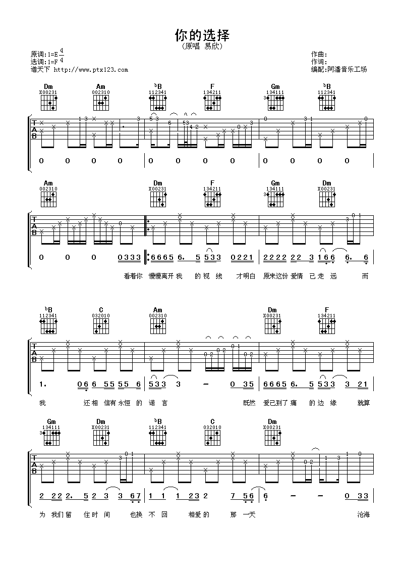 你的选择吉他谱第(1)页