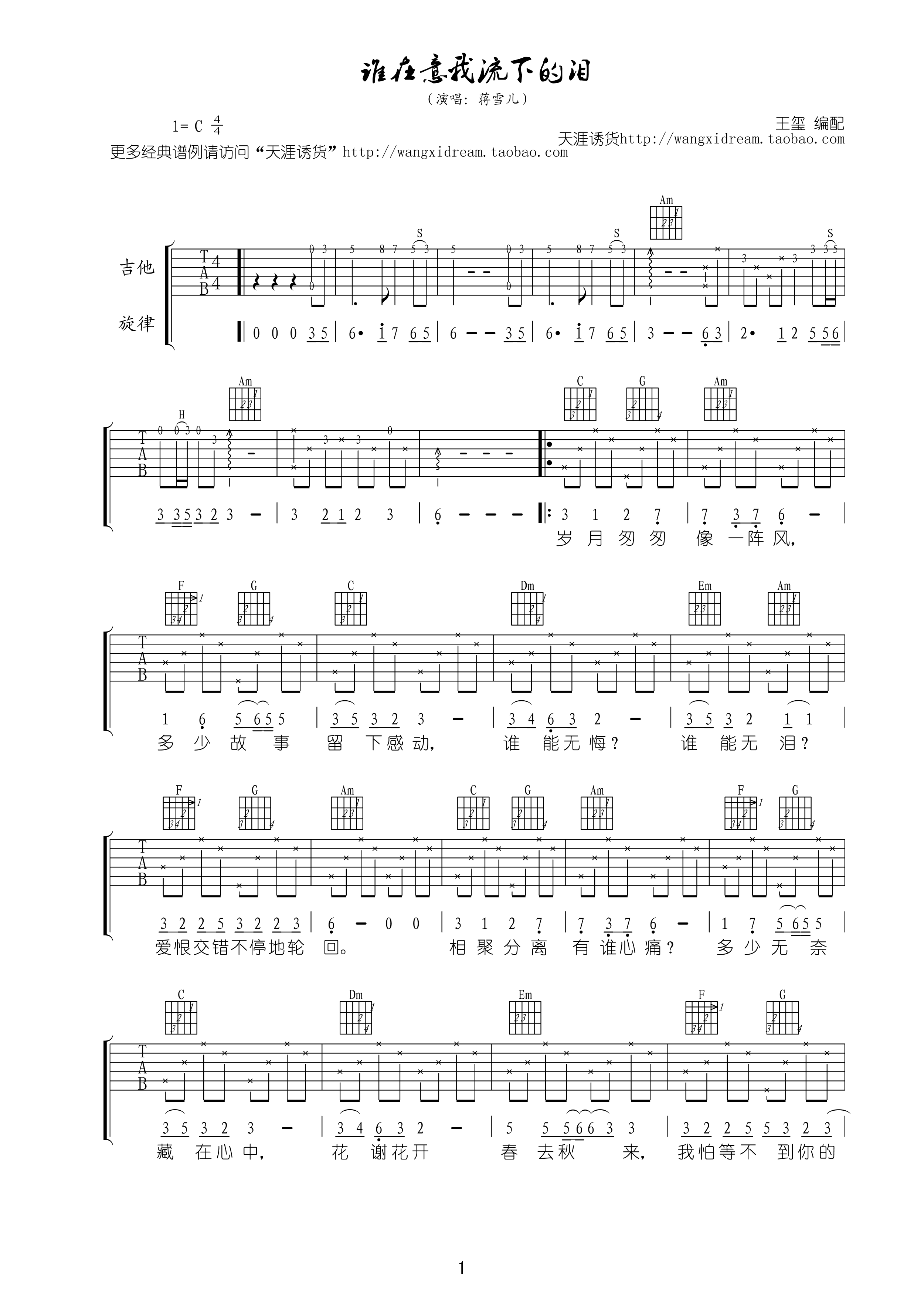 谁在意我流下的泪吉他谱第(1)页