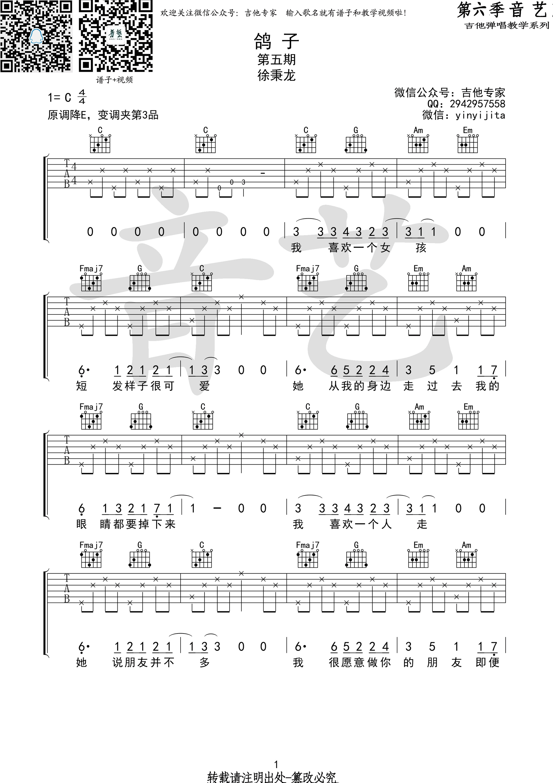 鸽子吉他谱第(1)页