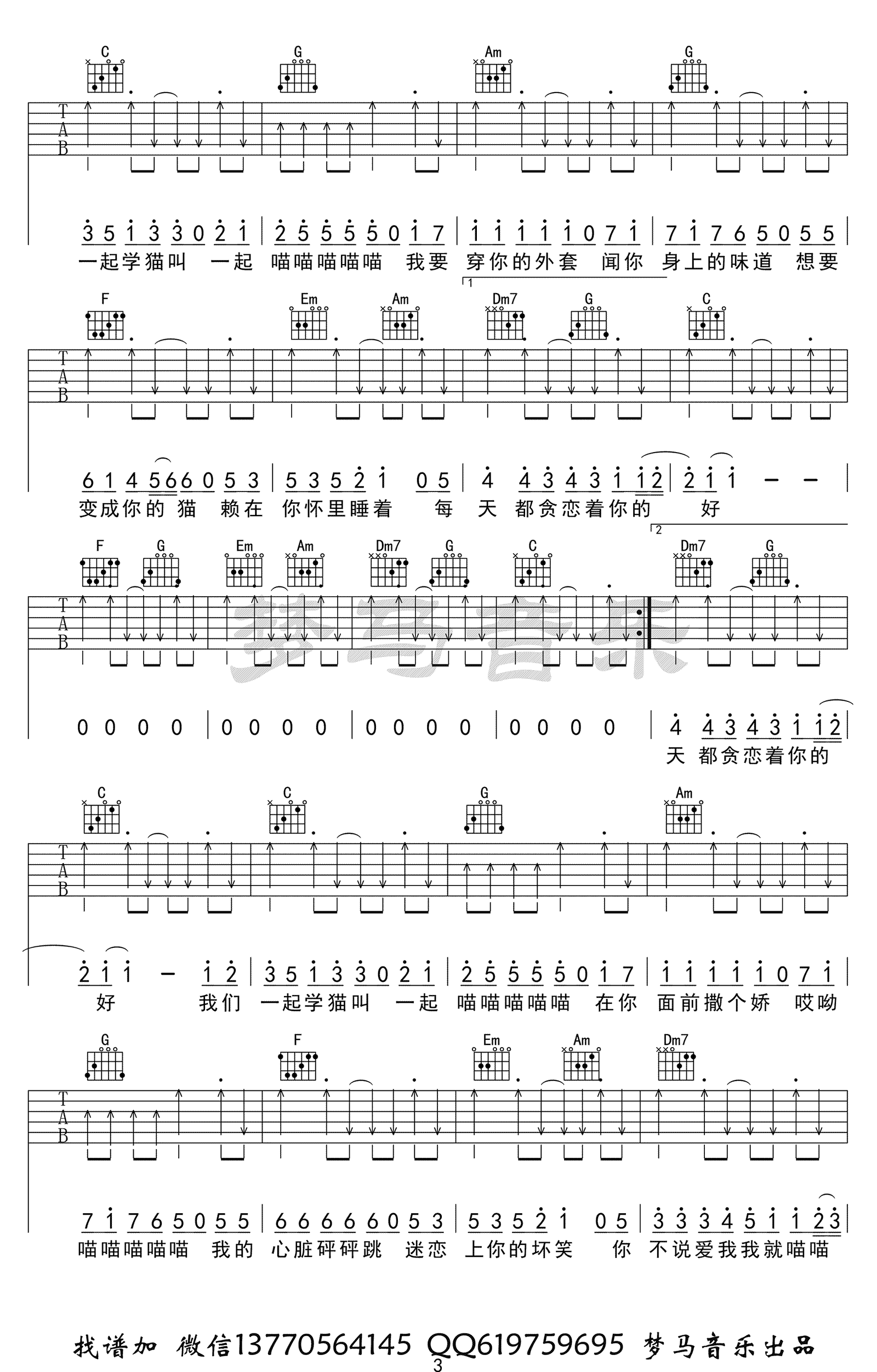 学猫叫吉他谱第(3)页