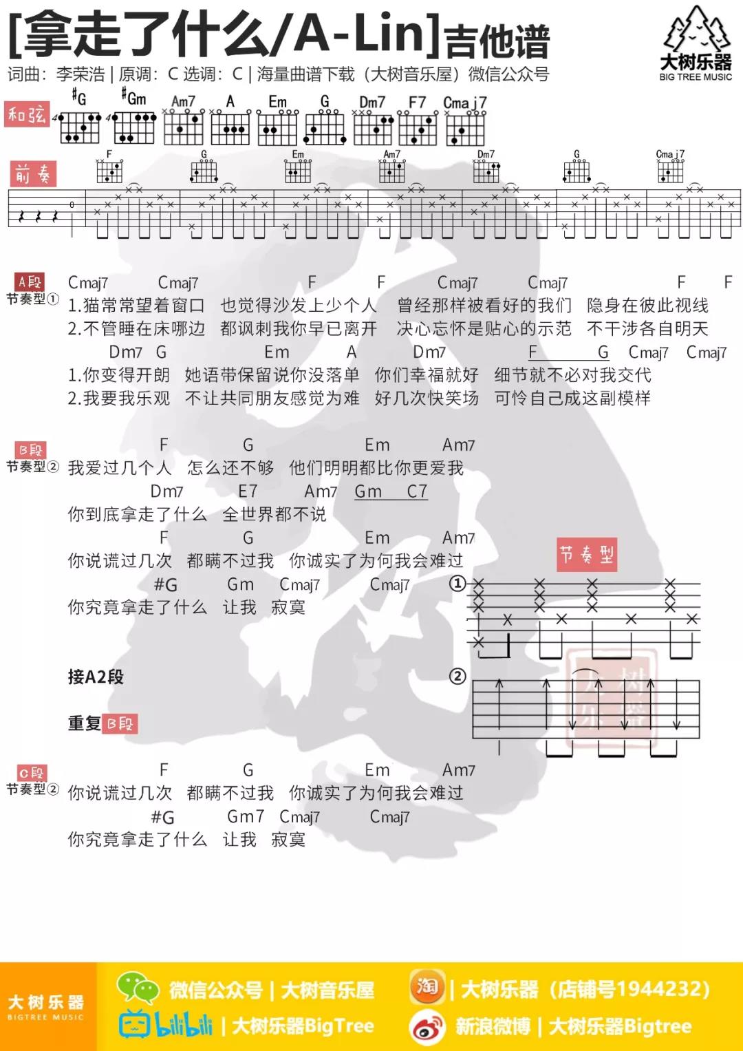 大树音乐屋拿走了什么吉他谱