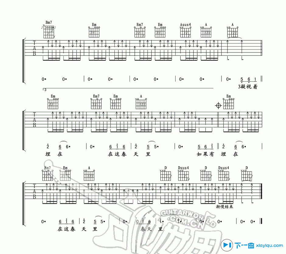 春天里吉他谱D调指法第(3)页