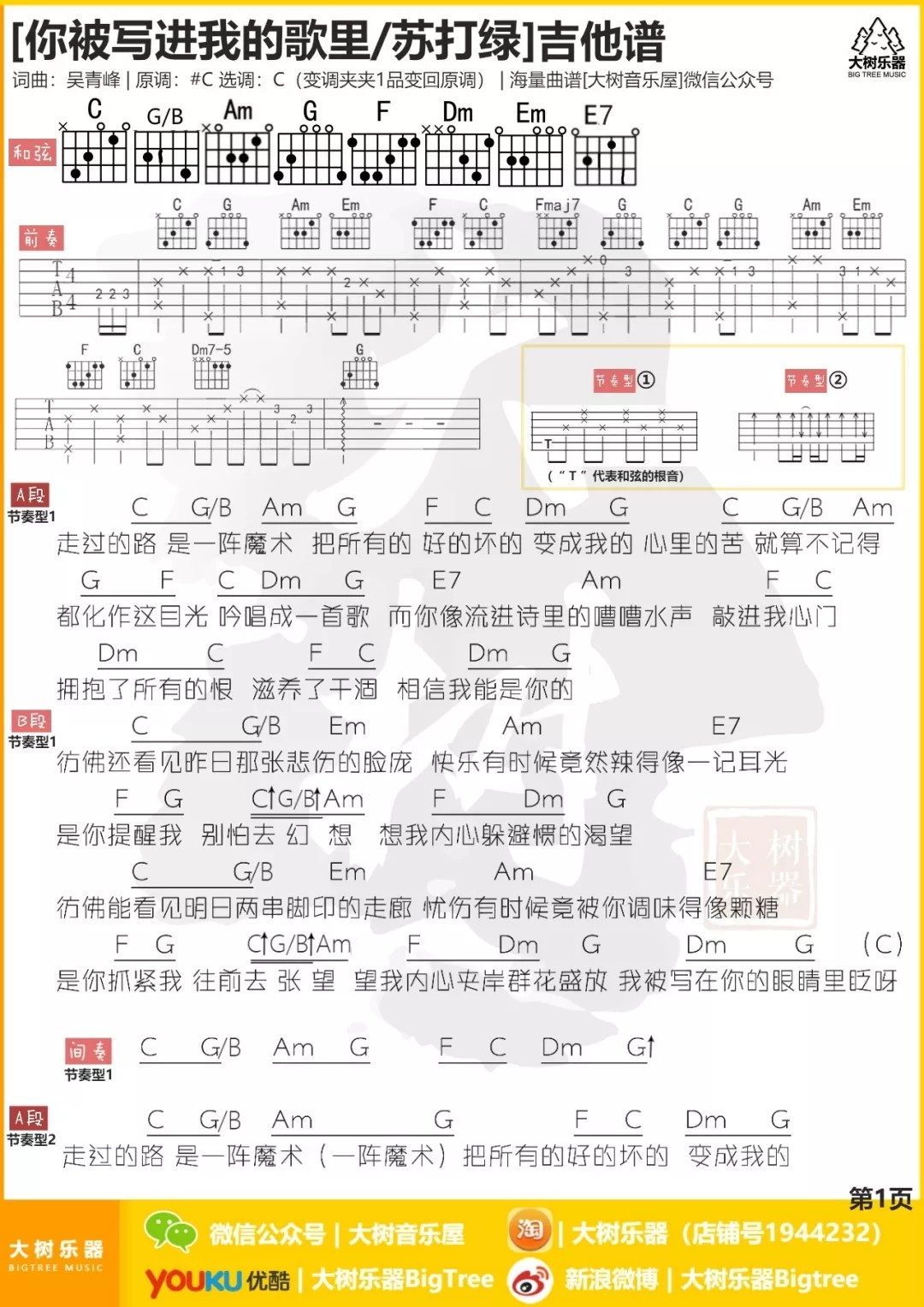 你被写进我的歌里吉他谱第(1)页