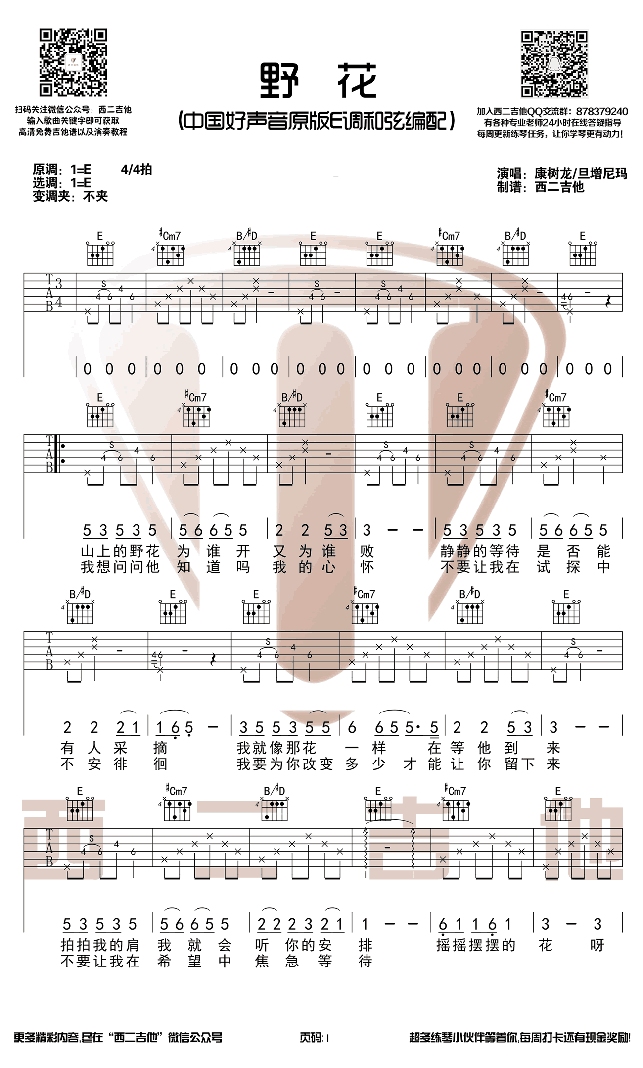 野花吉他谱第(1)页