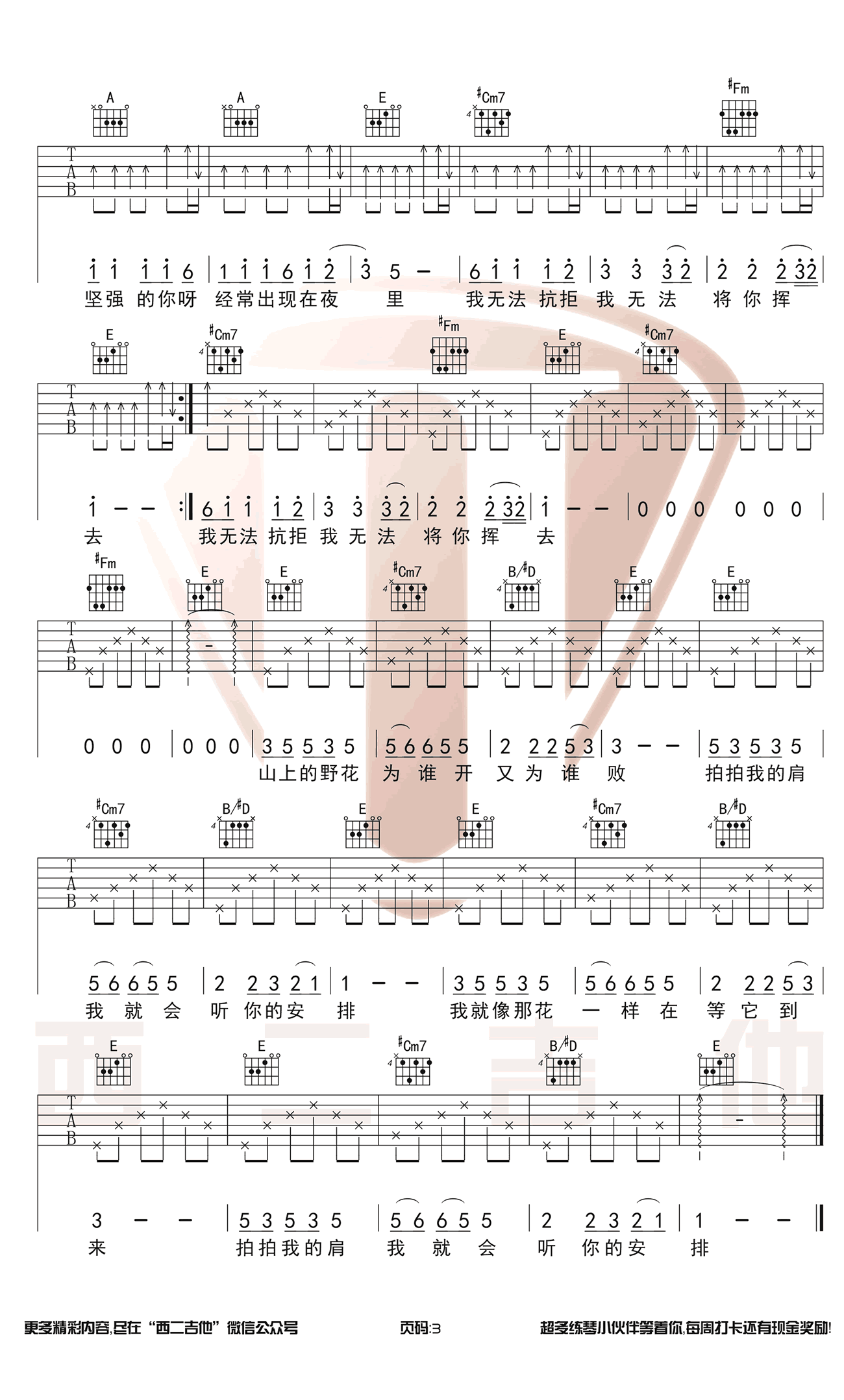 野花吉他谱第(3)页