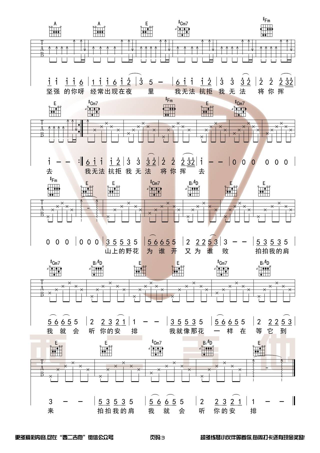 野花吉他谱第(3)页