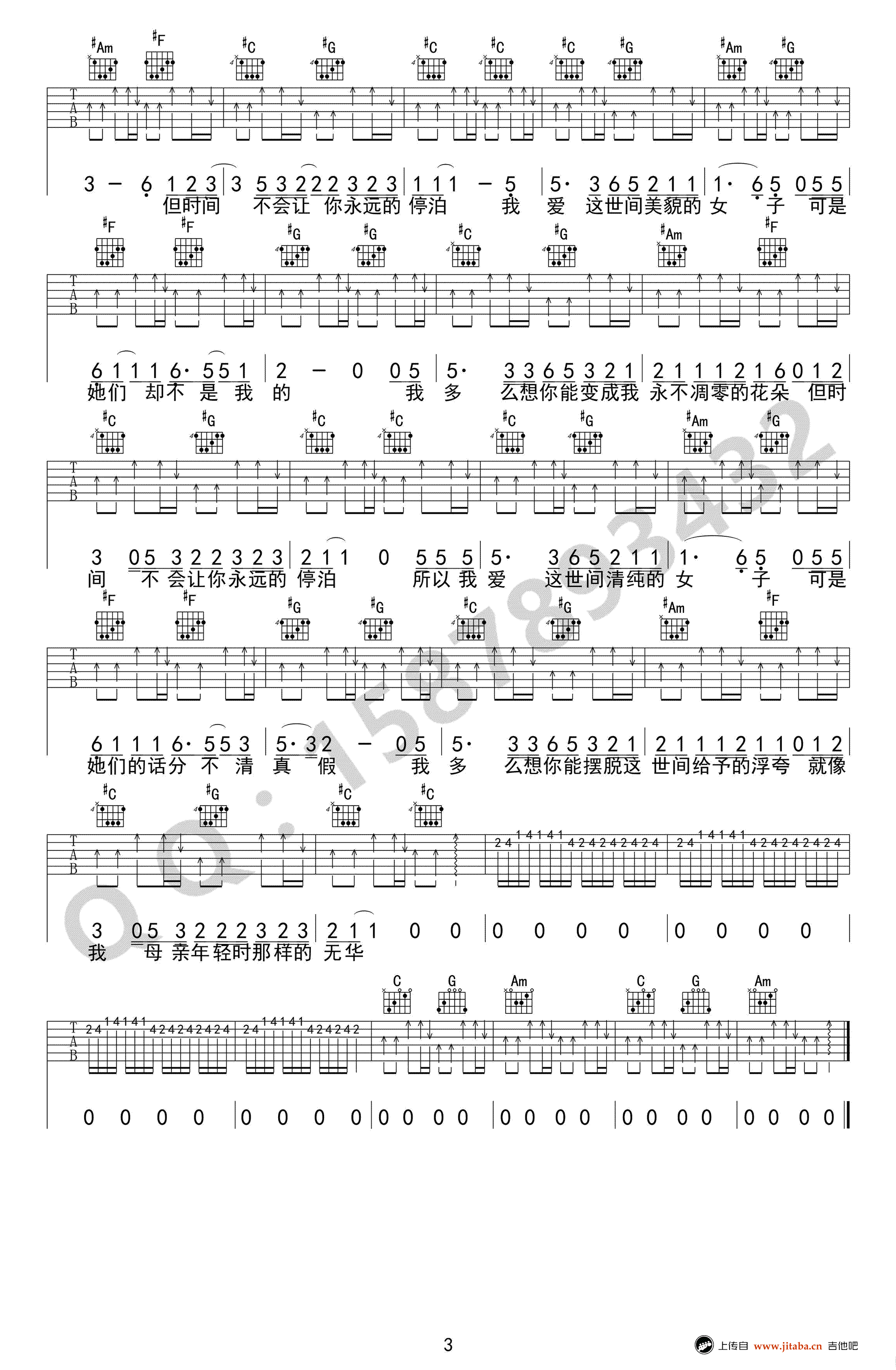 朵吉他谱C调第(3)页