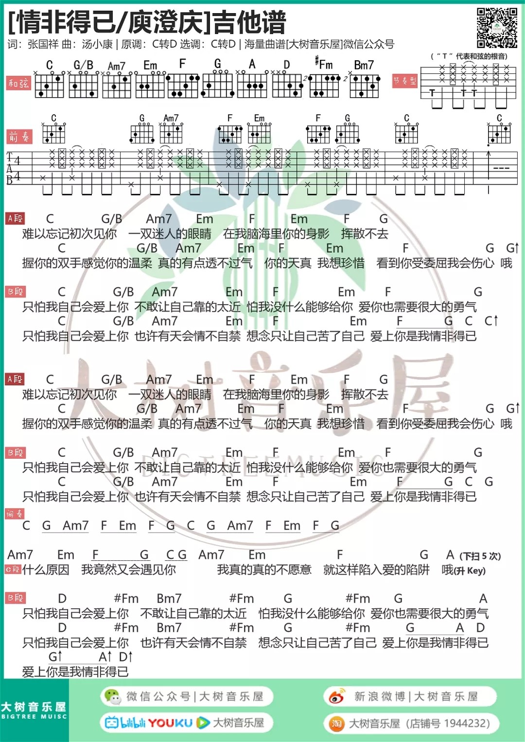 情非得已吉他谱大树音乐屋