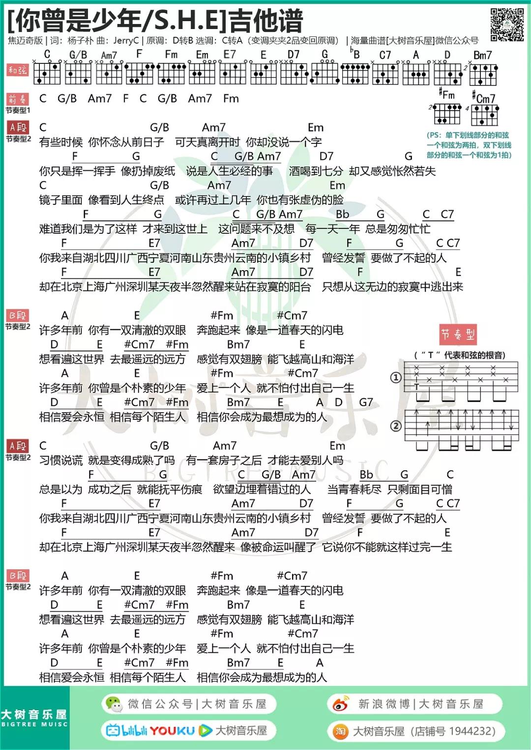 你曾是少年吉他谱大树音乐屋