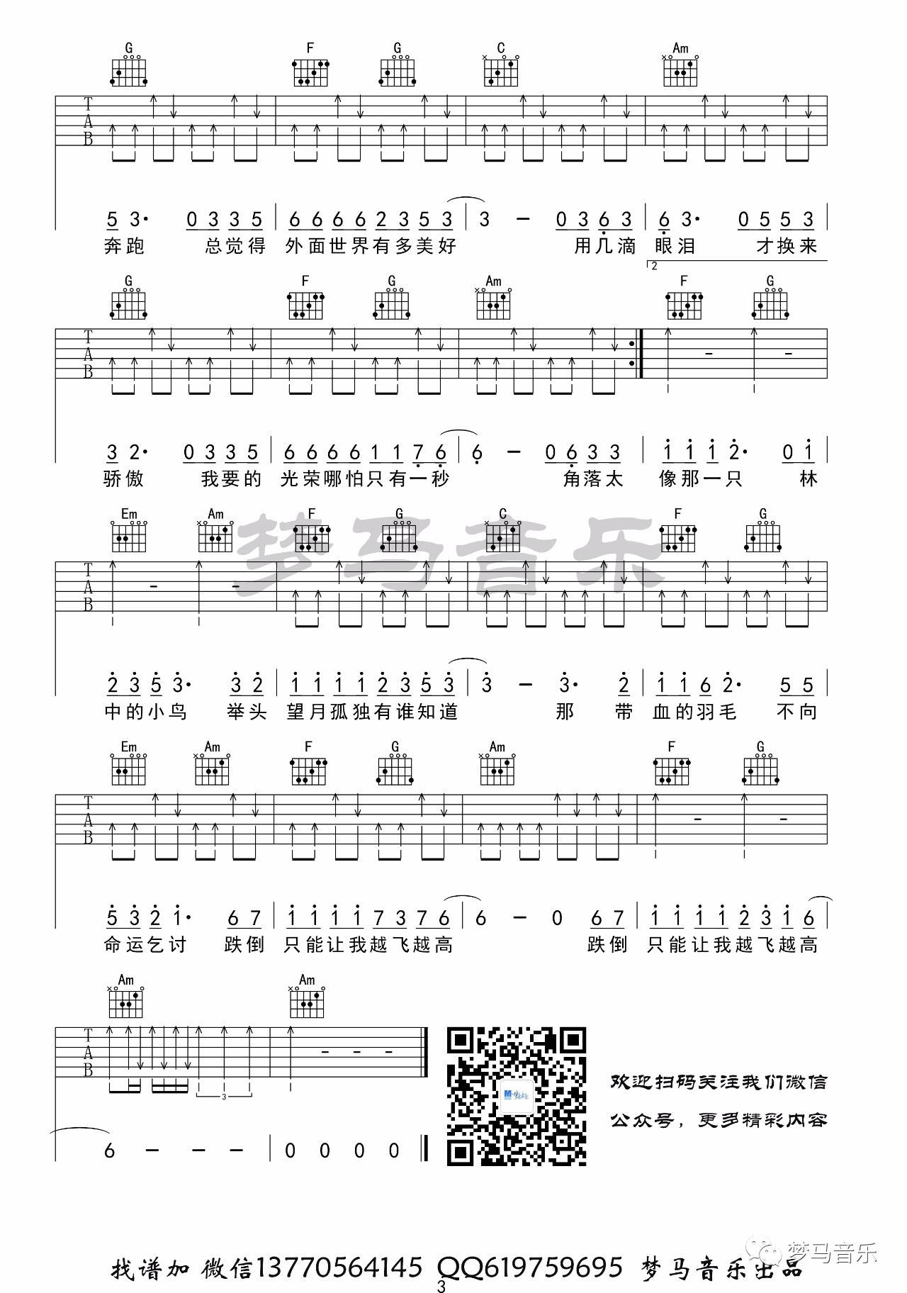 林中鸟吉他谱第(3)页