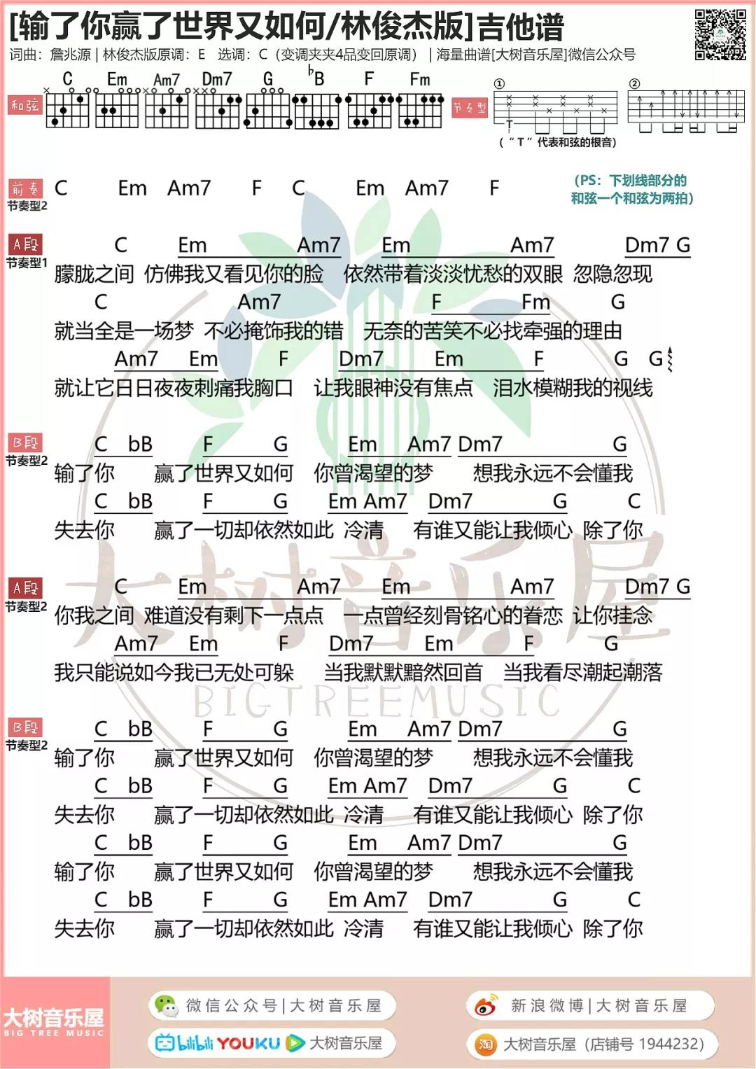 输了你赢了世界又如何吉他谱大树音乐屋