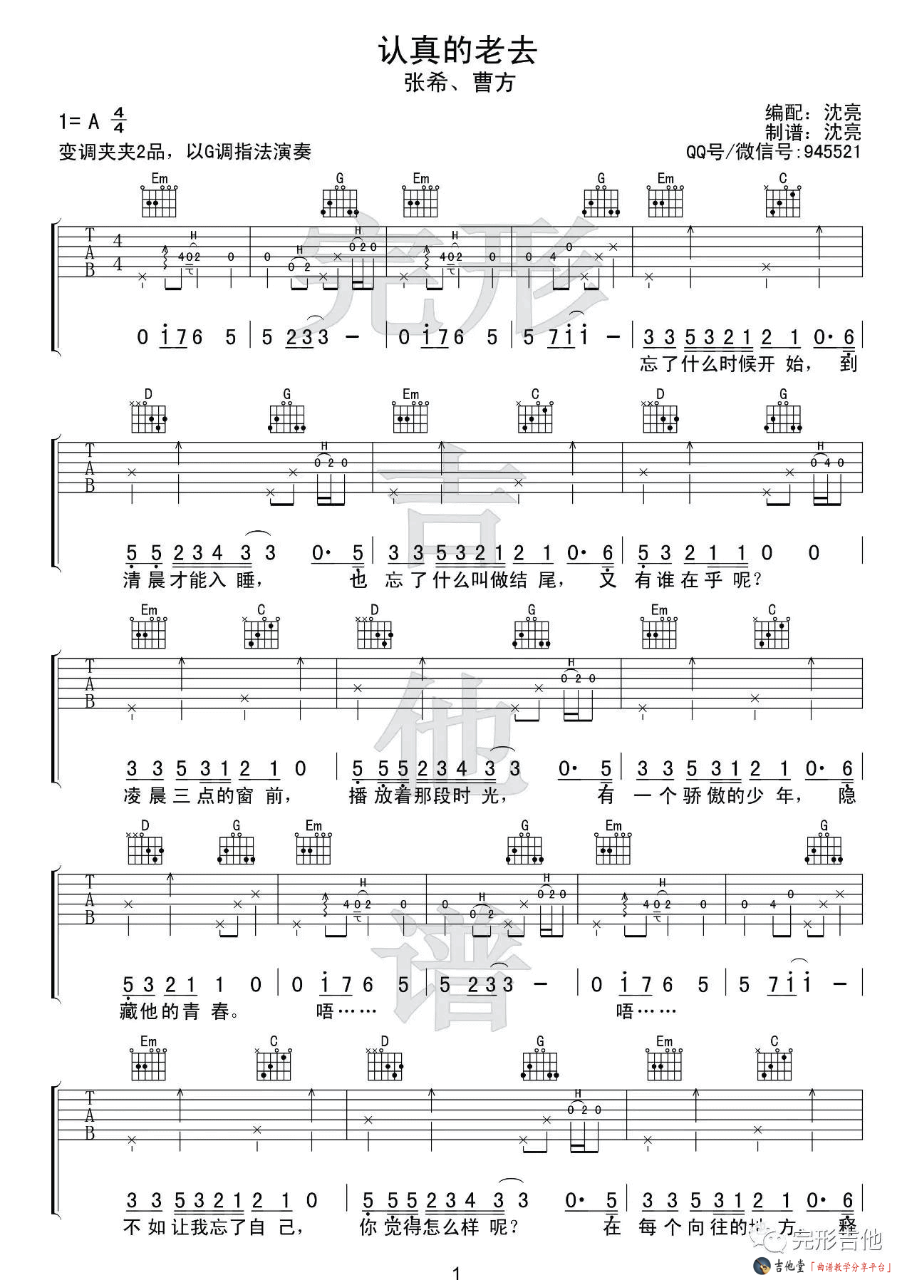 认真的老去吉他谱第(1)页