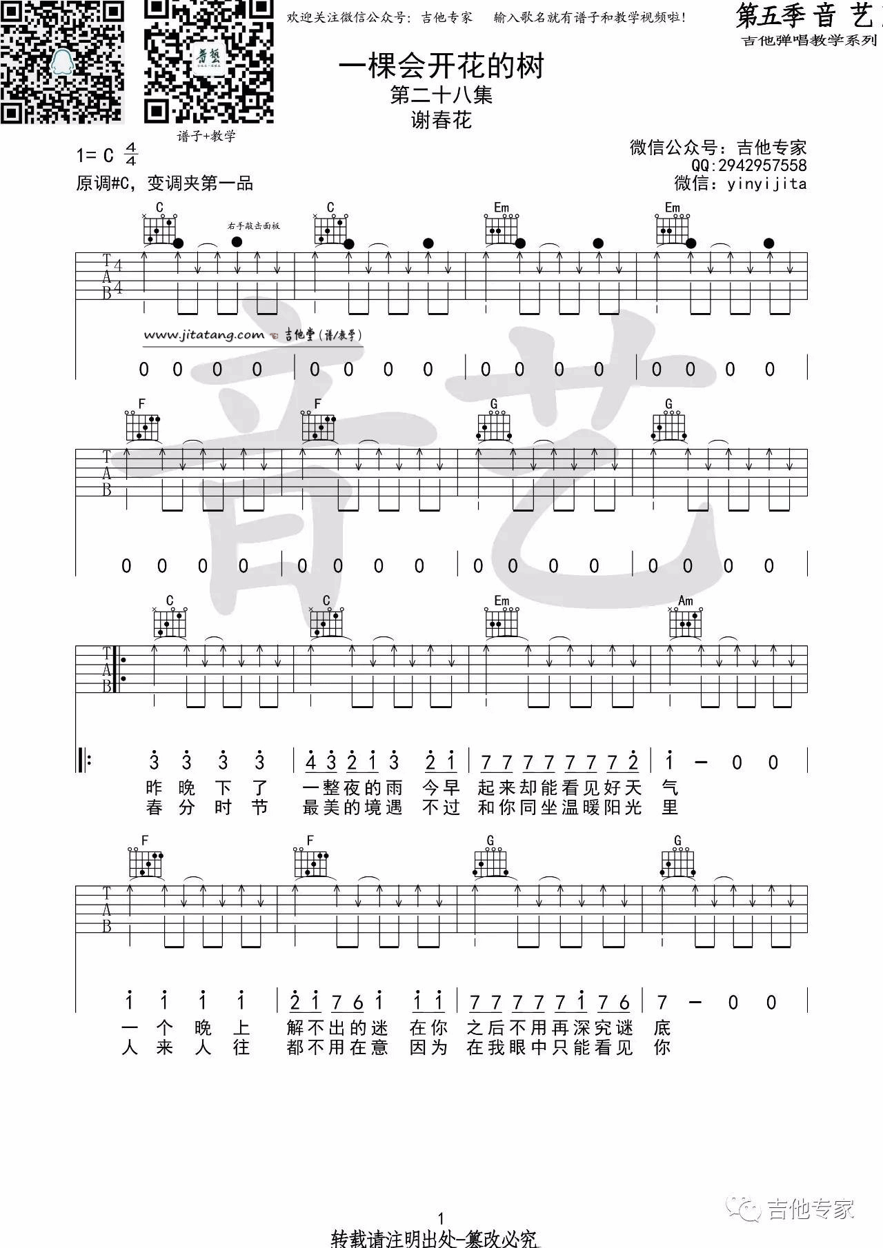 一颗会开花的树吉他谱第(1)页