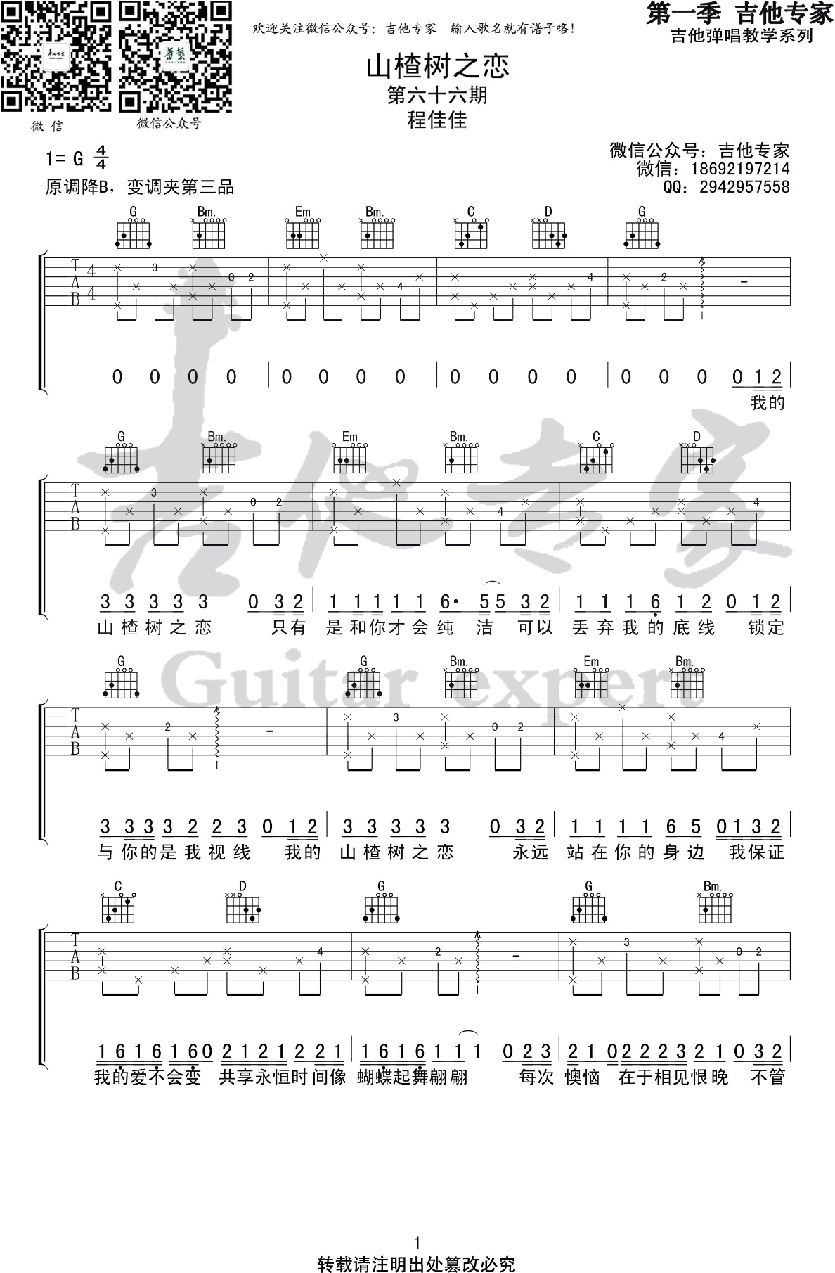山楂树之恋吉他谱G调第(1)页