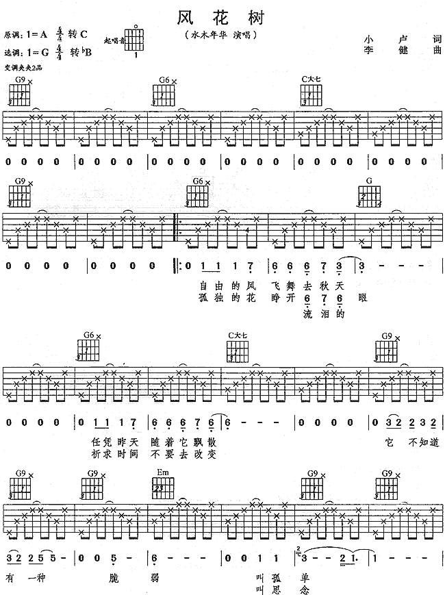 风花树吉他谱第(1)页