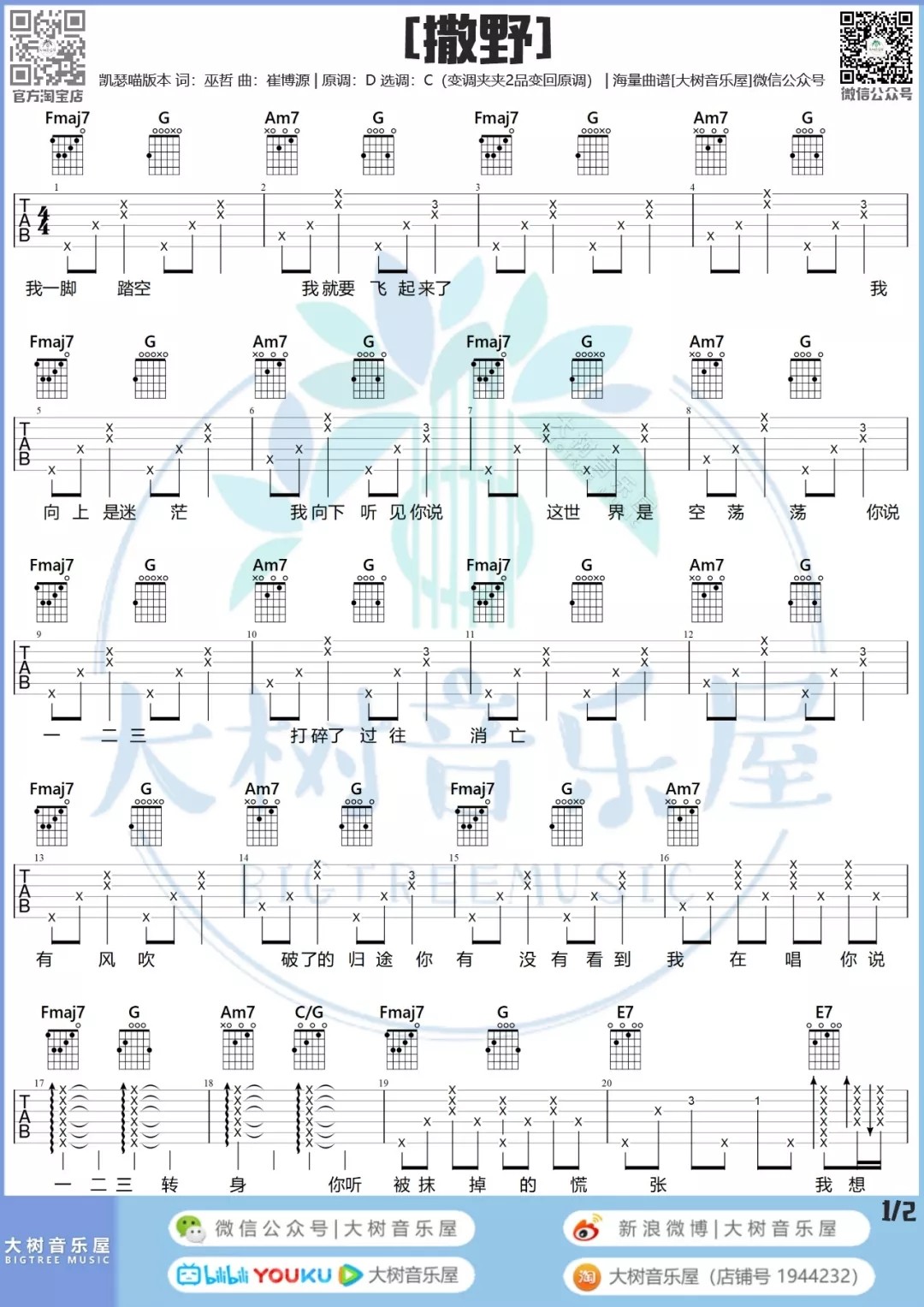 撒野吉他谱大树音乐屋第(2)页