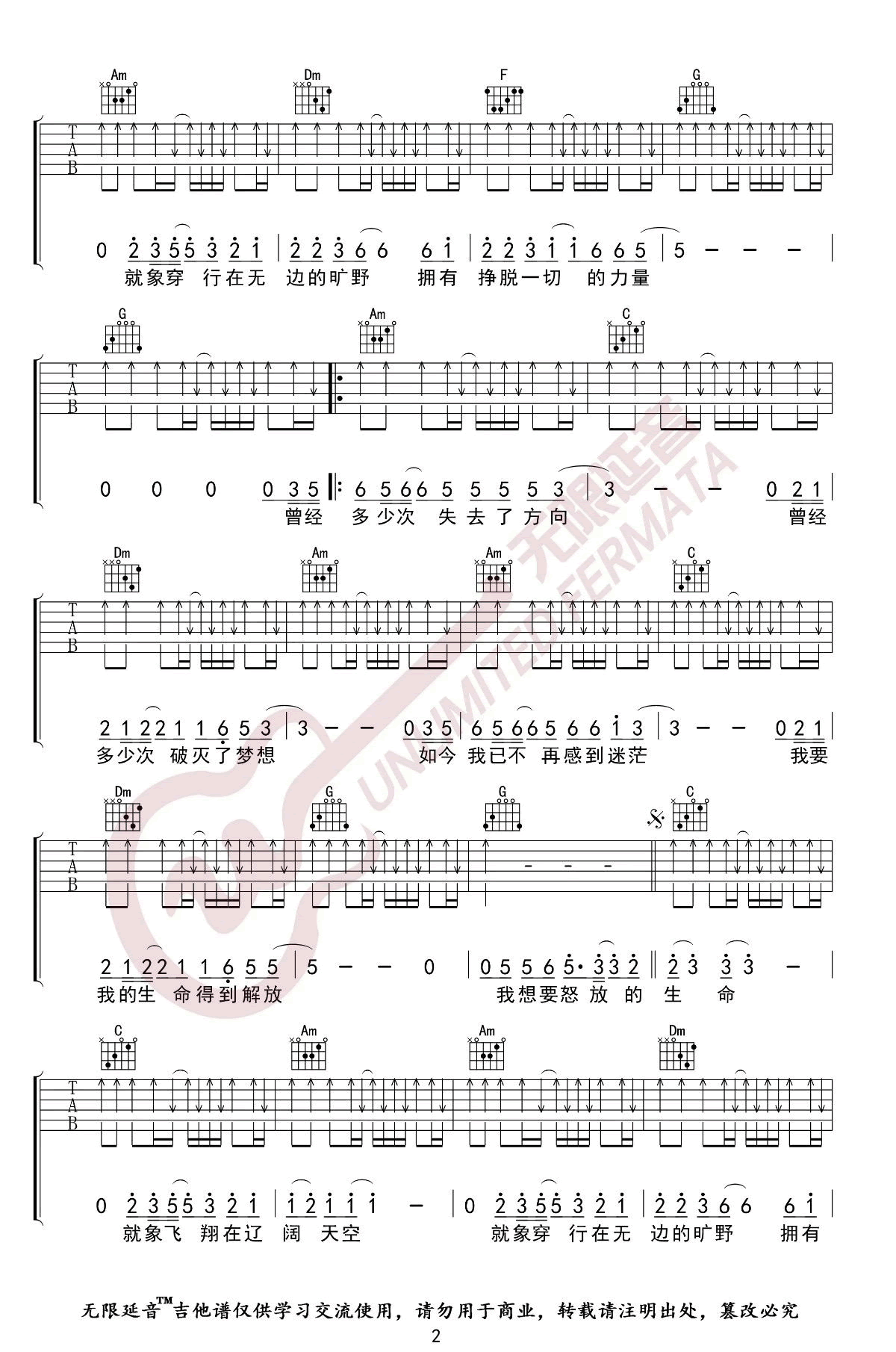 怒放的生命吉他谱C调指法弹唱六线谱第(2)页