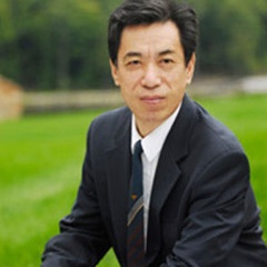 关贵敏吉他谱