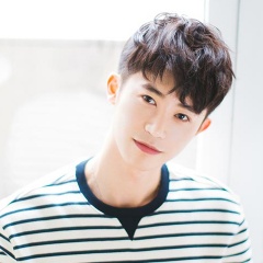 傅晓吉他谱