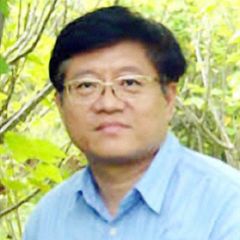 王森地