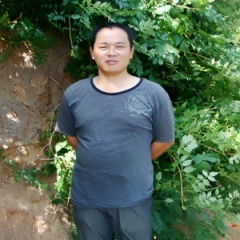 心有林夕