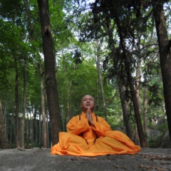 见忍法师吉他谱