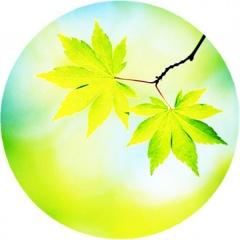 变奏的梦想吉他谱