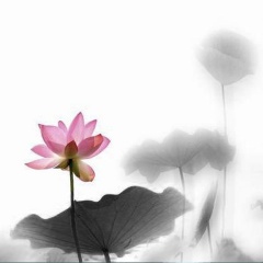 清朗的世界吉他谱