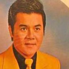 倪宾吉他谱